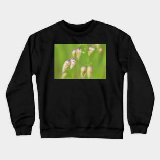 Quacking Grass Crewneck Sweatshirt